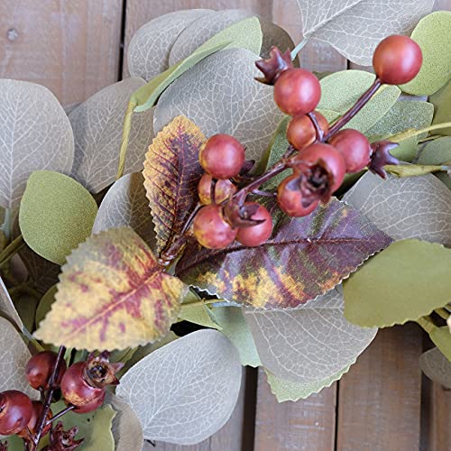 Bibelot Artificial Green Leaf Eucalyptus Wreath,Berry Wreath for Spring,Summer, Front Door Window Hanging Wall Party Decorations (20Inch)